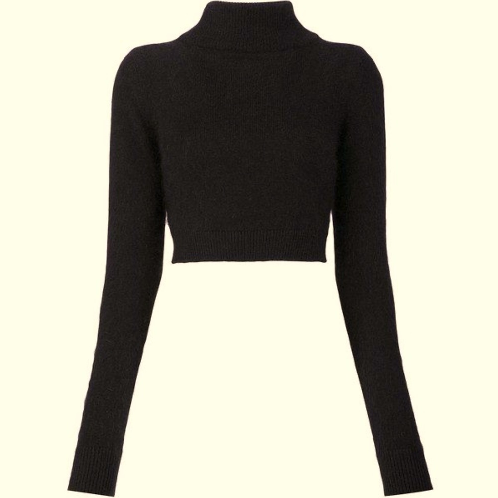 dark gray mock neck/turtle neck crop top